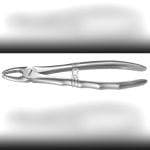 Premolar Extraction Forceps 4