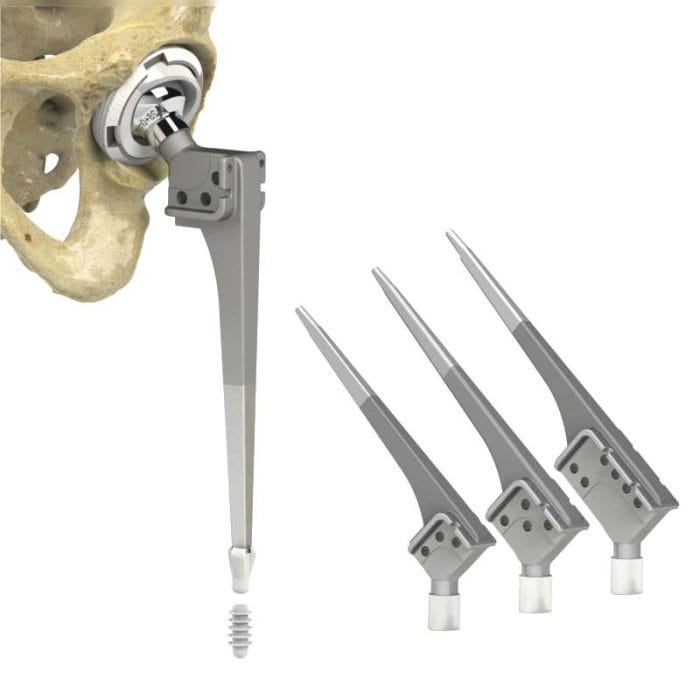 Primary Hip Prosthesis