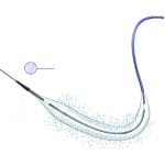 Pta Catheter