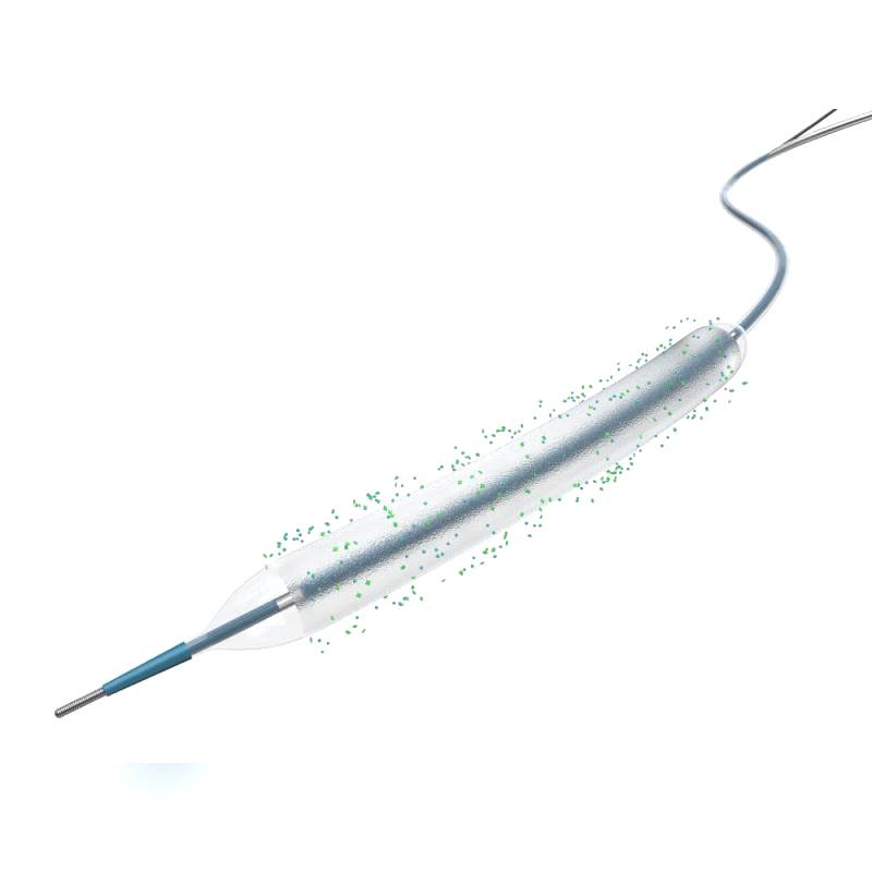 Ptca Catheter 1