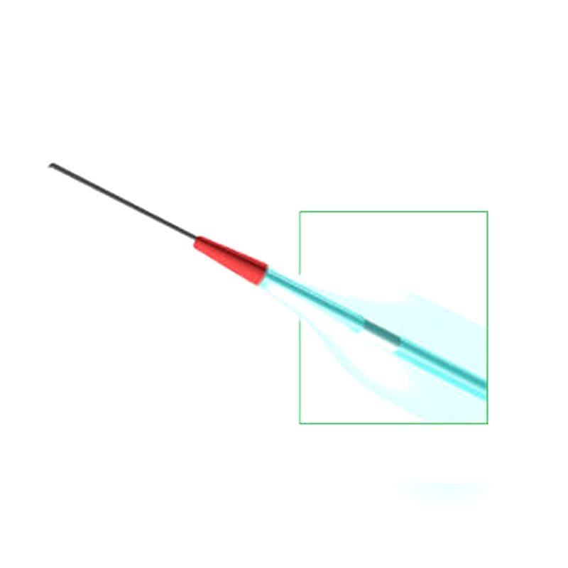 Ptca Catheter 1