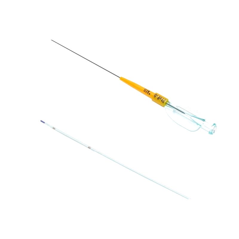 Ptca Catheter