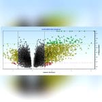 Qpcr Software