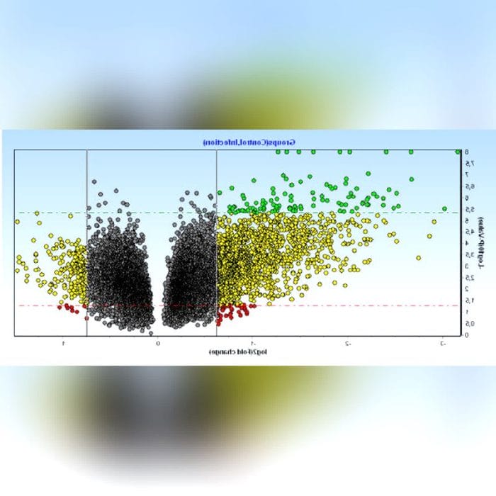 Qpcr Software