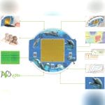 Radiation Therapy Qa System 4