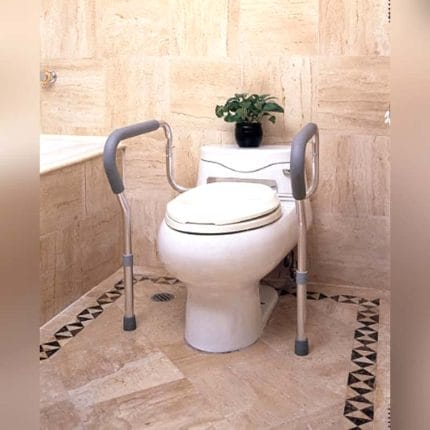 Raised Toilet Seat With Armrests 1