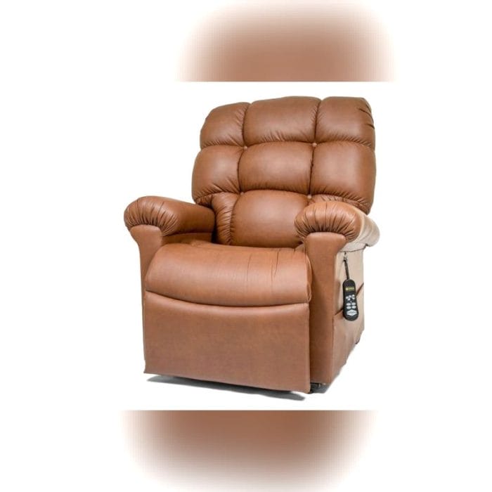 Reclining Lift Chair 1