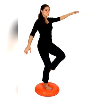 Round Balance Cushion 1