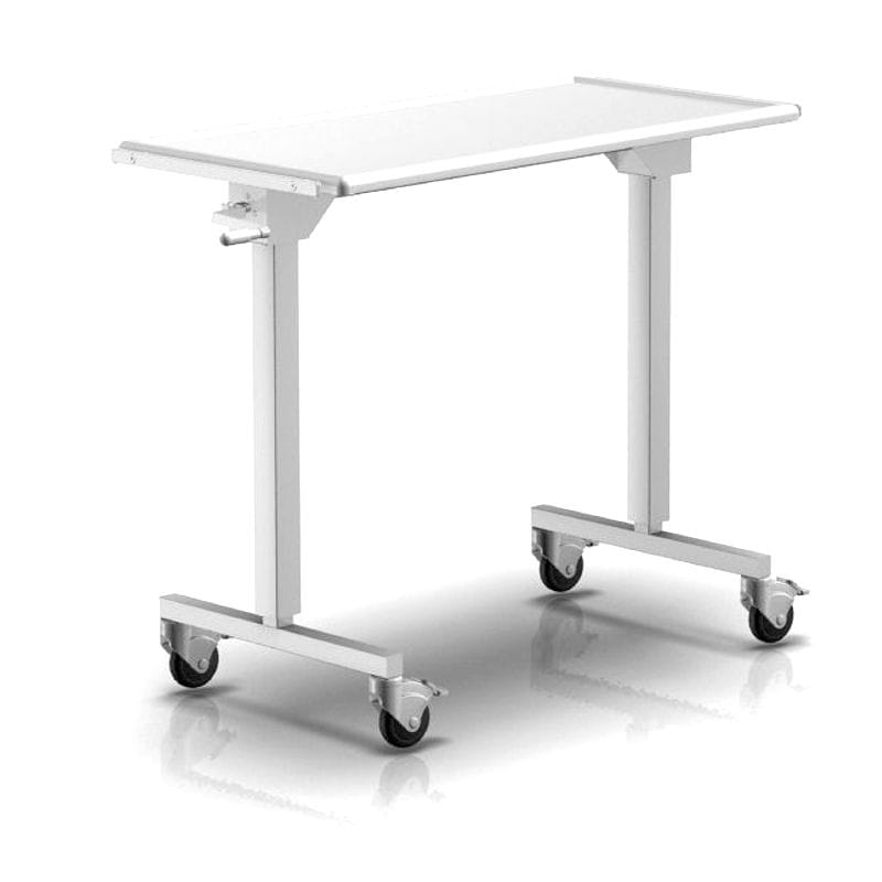 Stainless Steel Mayo Table