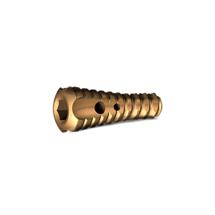 Subtalar Joint Implant