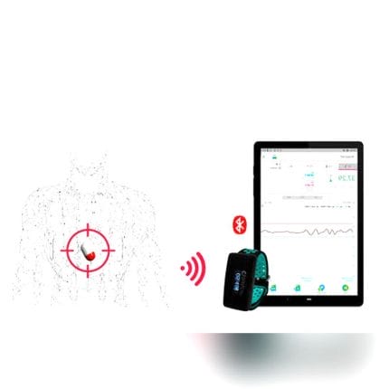 Temperature Monitoring Capsule