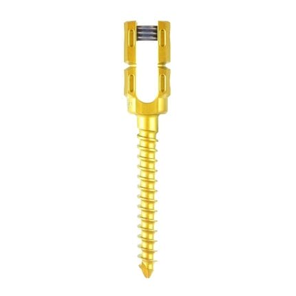 Thoracic-Lumbar Vertebra Pedicle Screw