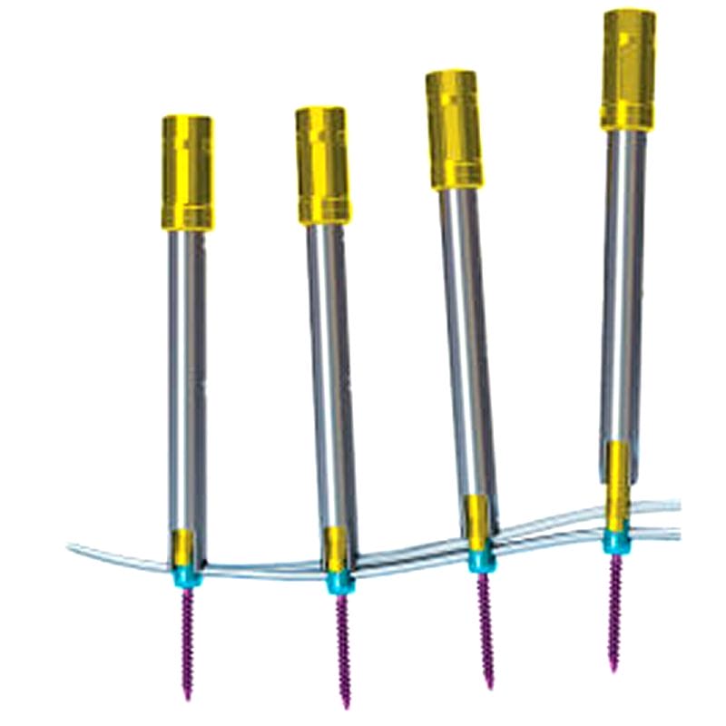 Thoraco-Lumbar Osteosynthesis Unit 1