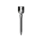 Thoraco-Lumbar Pedicle Screw