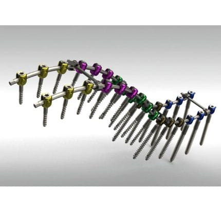 Thoraco-Lumbo-Sacral Osteosynthesis Unit 1