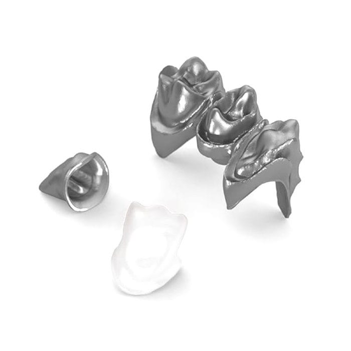 Titanium Dental Prosthesis