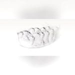 Transparent Dental Aligner 1