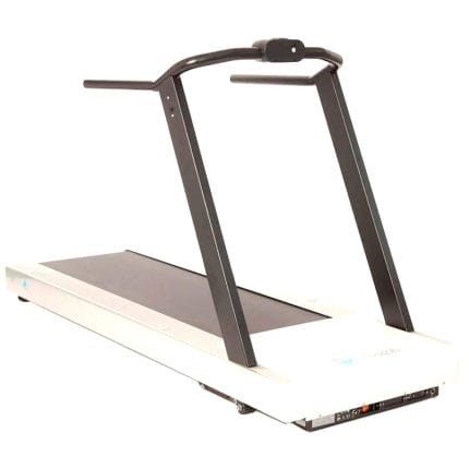 Treadmill Ergometer With Handrails