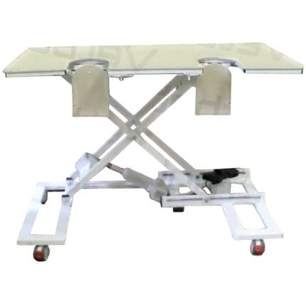 Ultrasound Imaging Examination Table 1