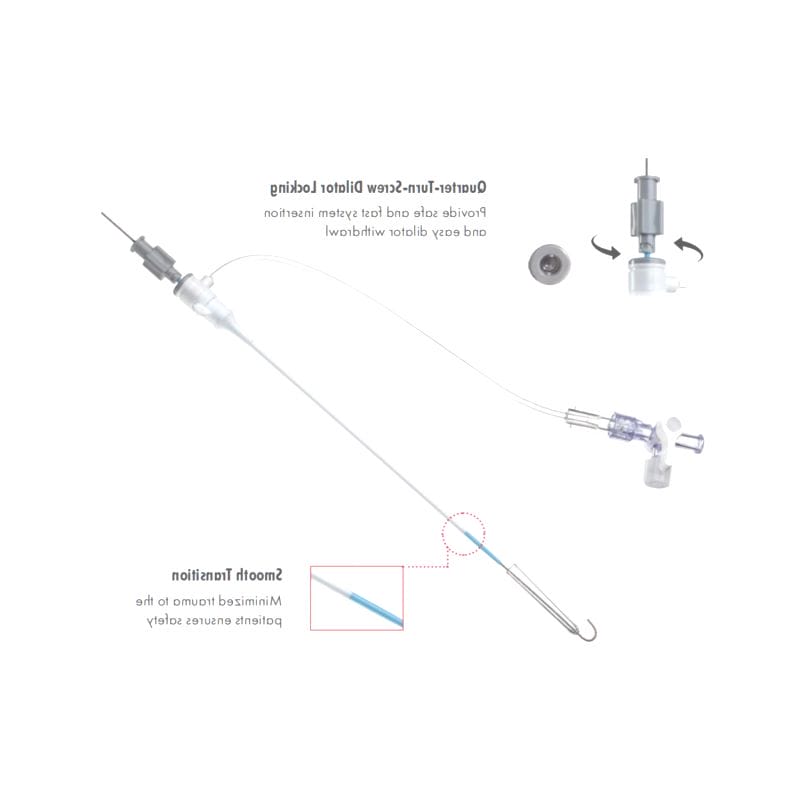 Vascular Access Sheath 1