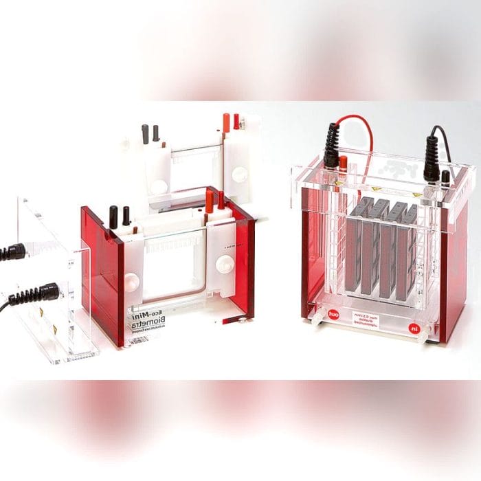 Vertical Electrophoresis Chamber