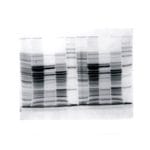 Vertical Electrophoresis Chamber 5