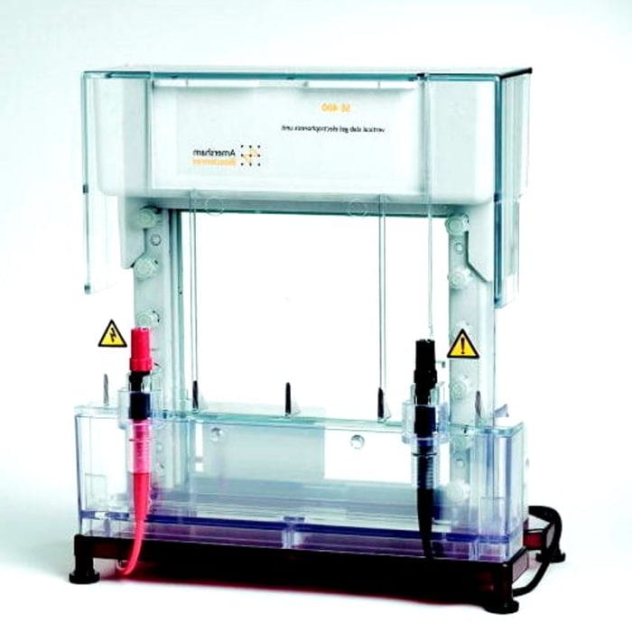 Vertical Electrophoresis Chamber