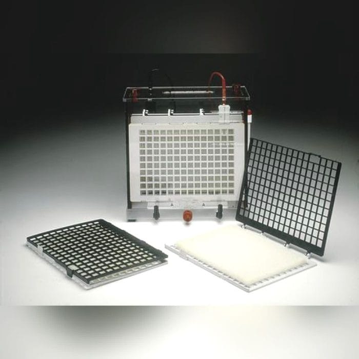 Vertical Electrophoresis Chamber