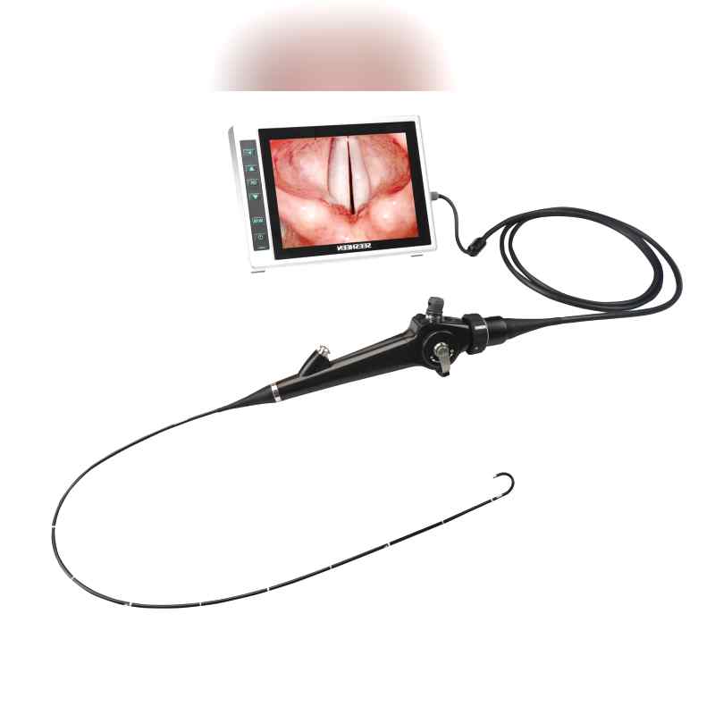 Video Laryngoscope