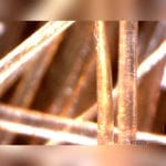 Video Trichoscope 4