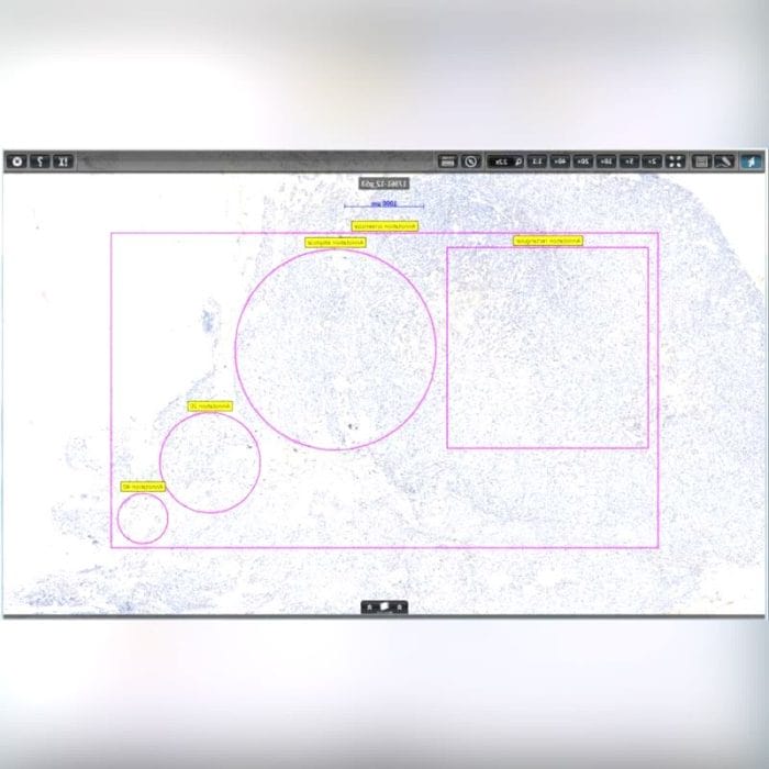 Virtual Microscopy Software 3