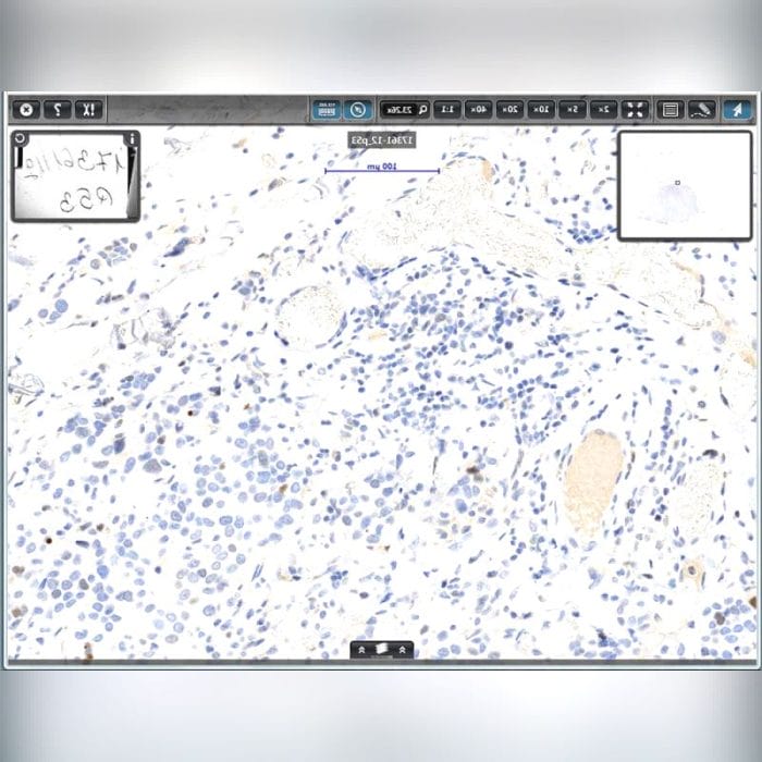 Virtual Microscopy Software 5