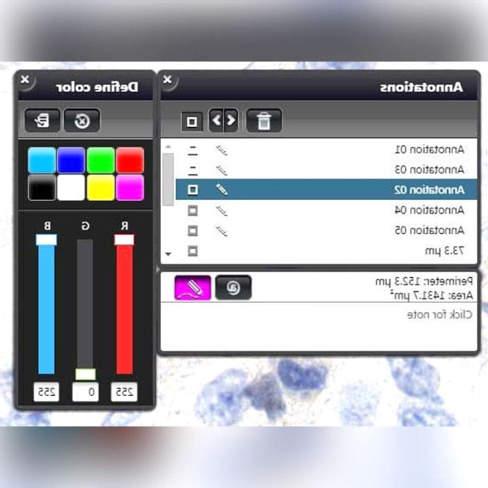 Virtual Microscopy Software 6