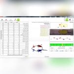 Weight Bearing Analgesiometer 2