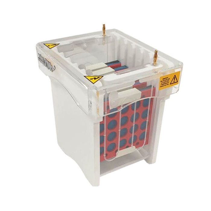 Western Blot Blotting Tank