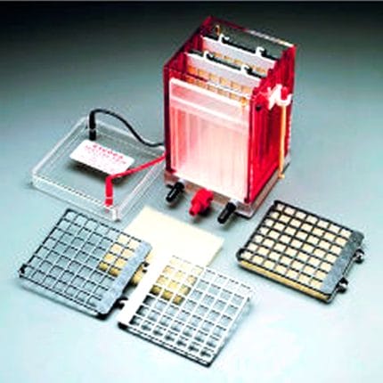 Western Blot Blotting Tank