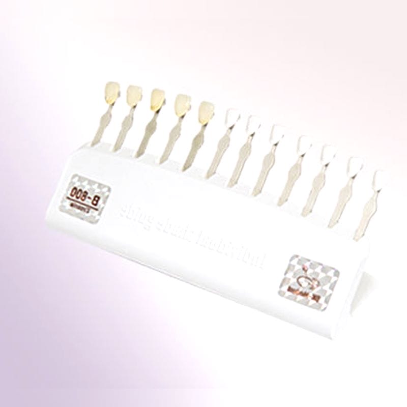 Zirconia Dental Prosthesis